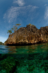 Under/over taken in Raja Ampat. by Charles Wright 